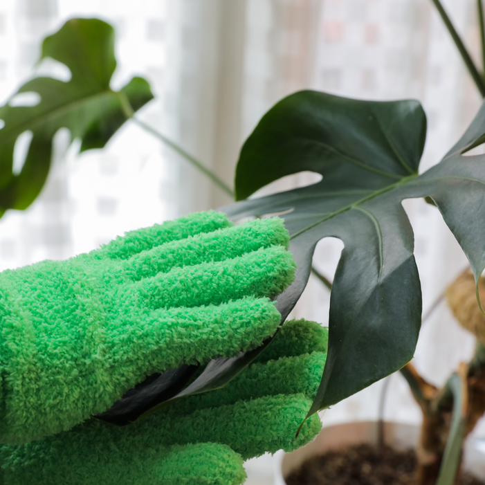 Leaf Shining Microfiber Gloves - 1 pair