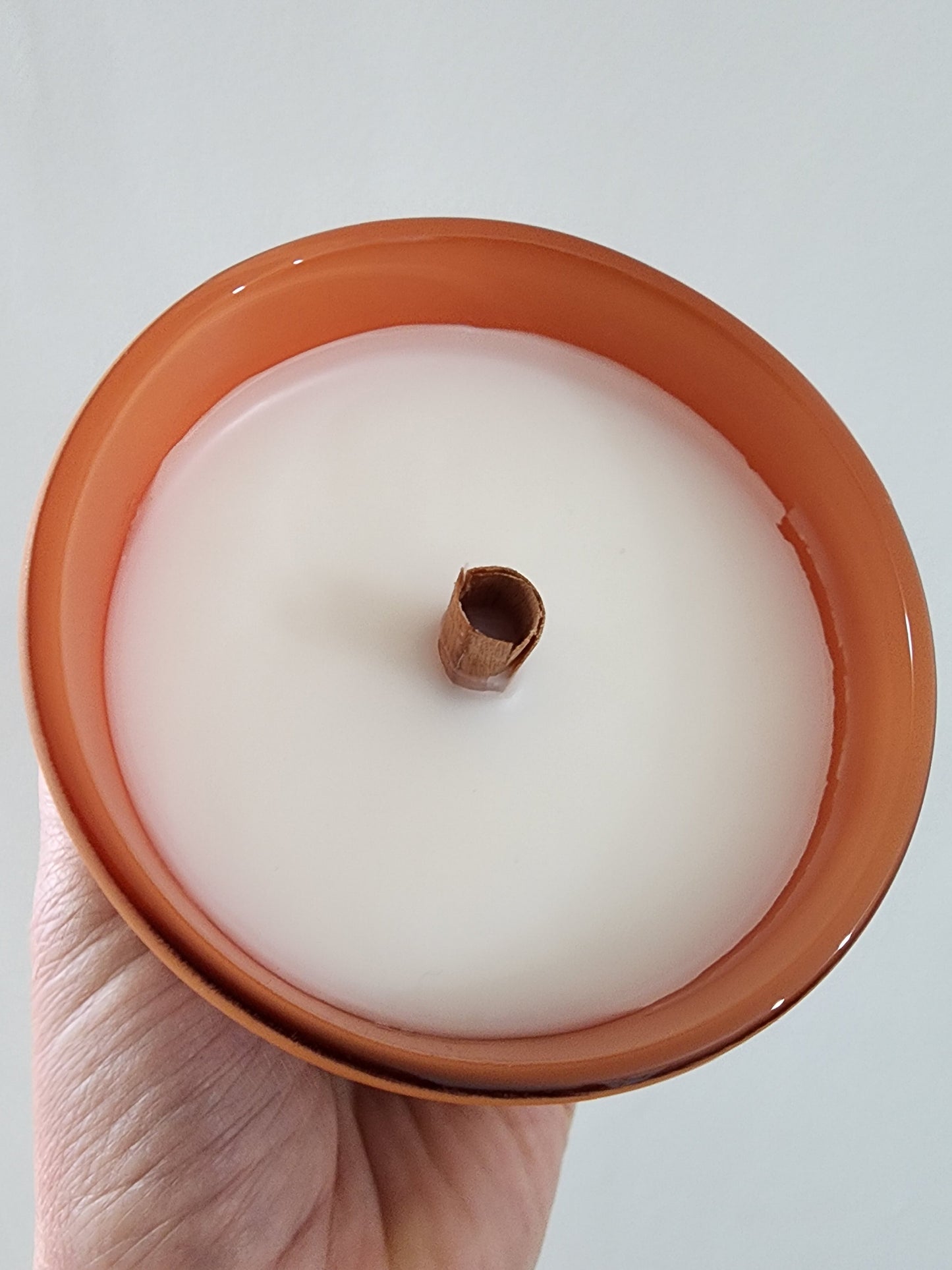 Musa Plant Scented Candle