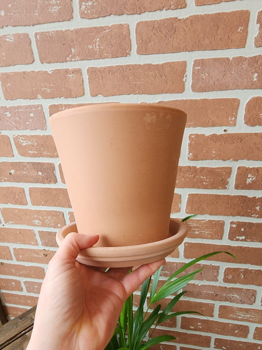 Clay Saucer/Tray 16cm/6.5in. bleached