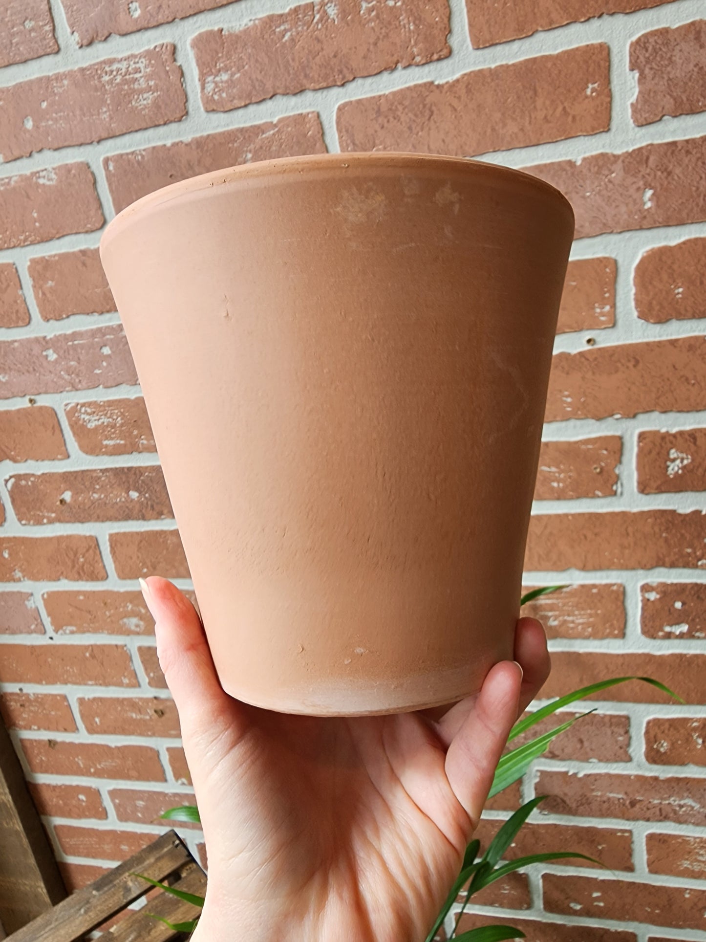 Clay Pot 15cm/6" Bleached