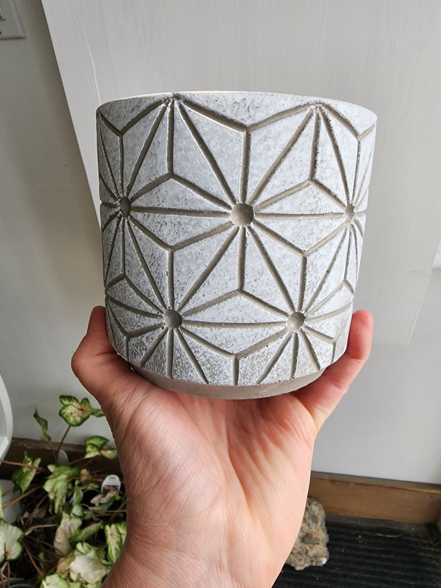 Dorottya Passion Concrete 4" Pot Cover