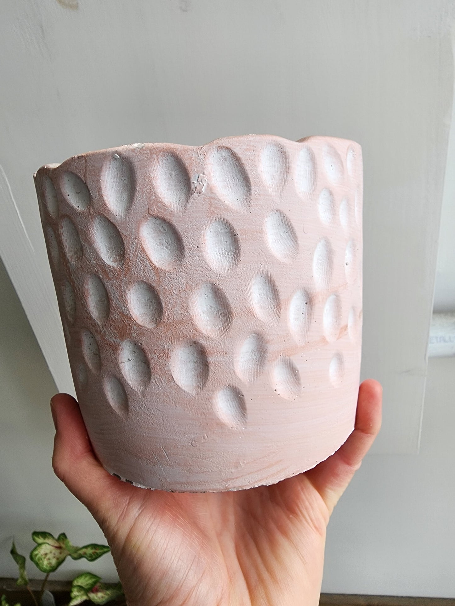 Yued Concrete Pot Cover - 12cm/5in