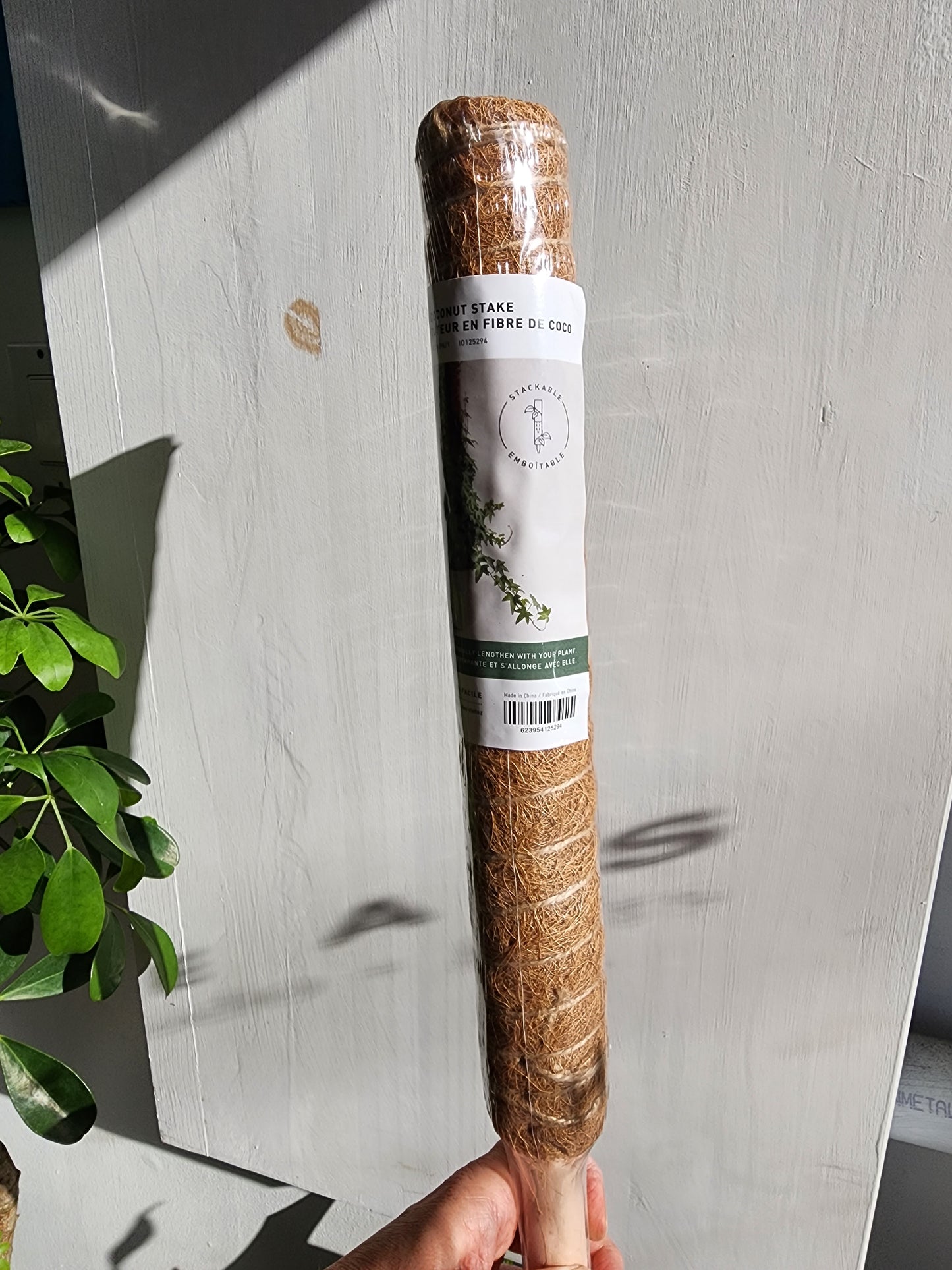 Coconut Stake 50cm/20" Stackable