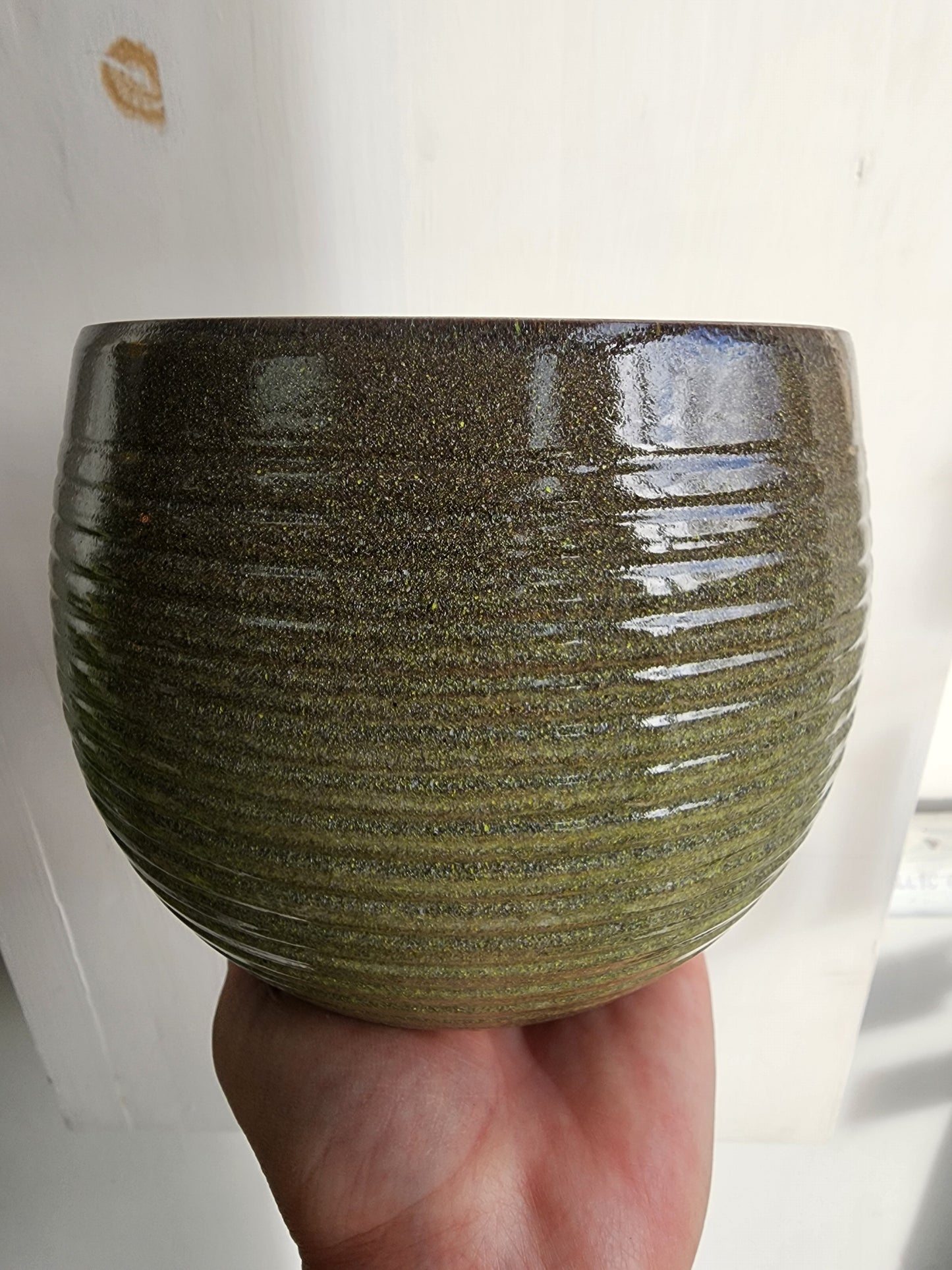 16cm/6.5in. Linara Wild Jungle Ceramic