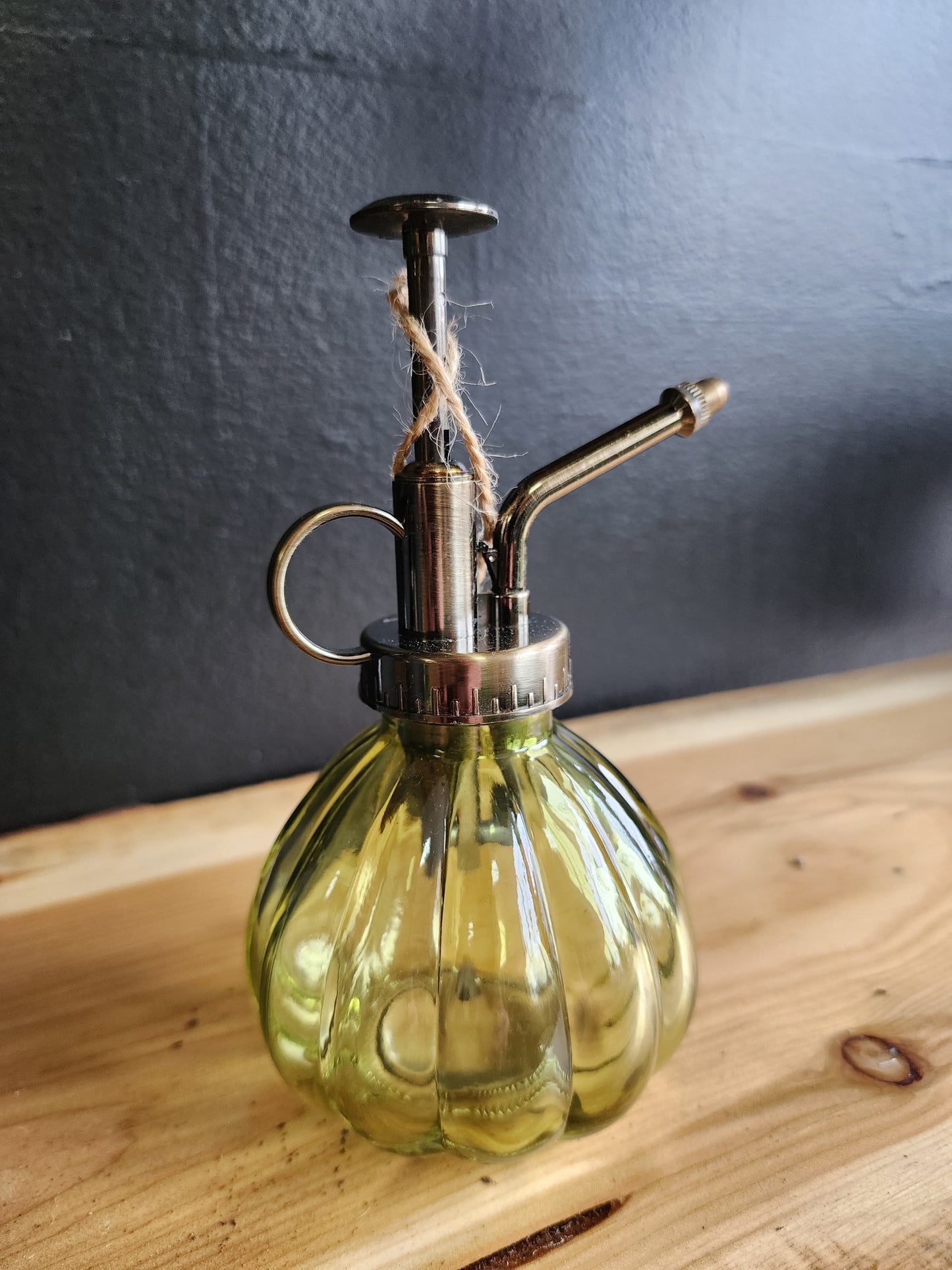 Vintage Green Plant Mister