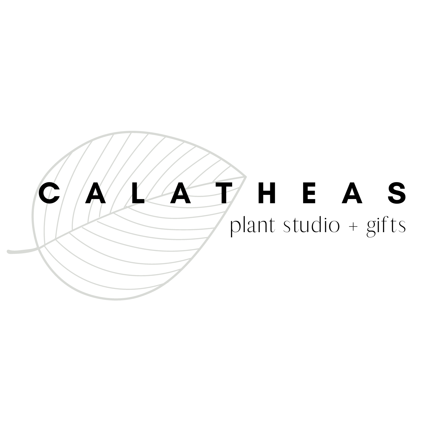 Calatheas