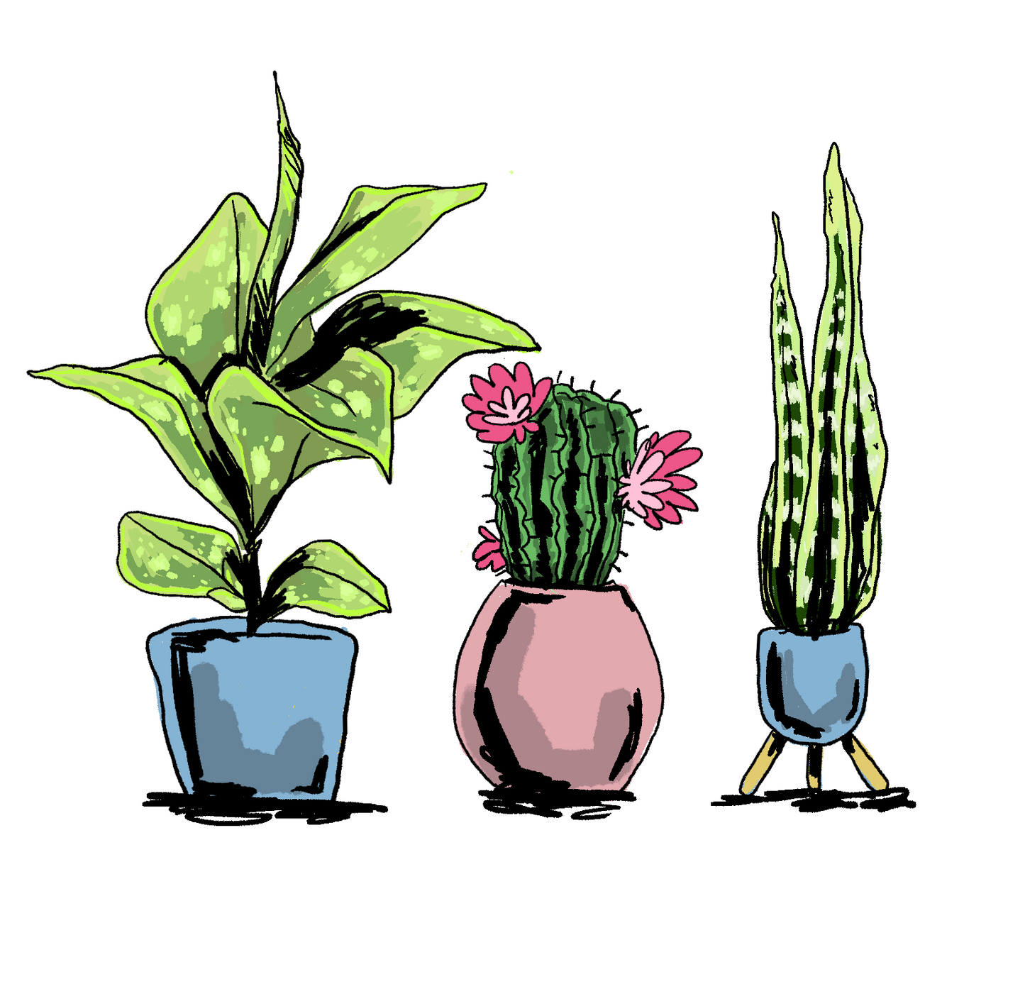 Original Art Print - 3 Plants