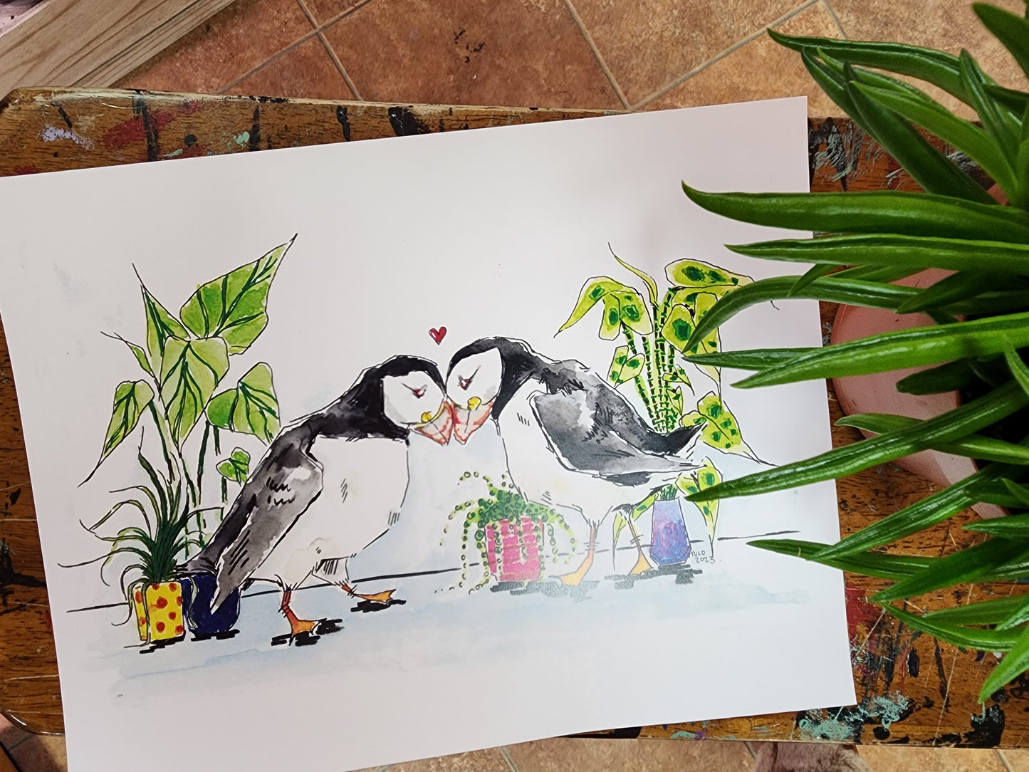 Original Art Print - Puffins + Plants