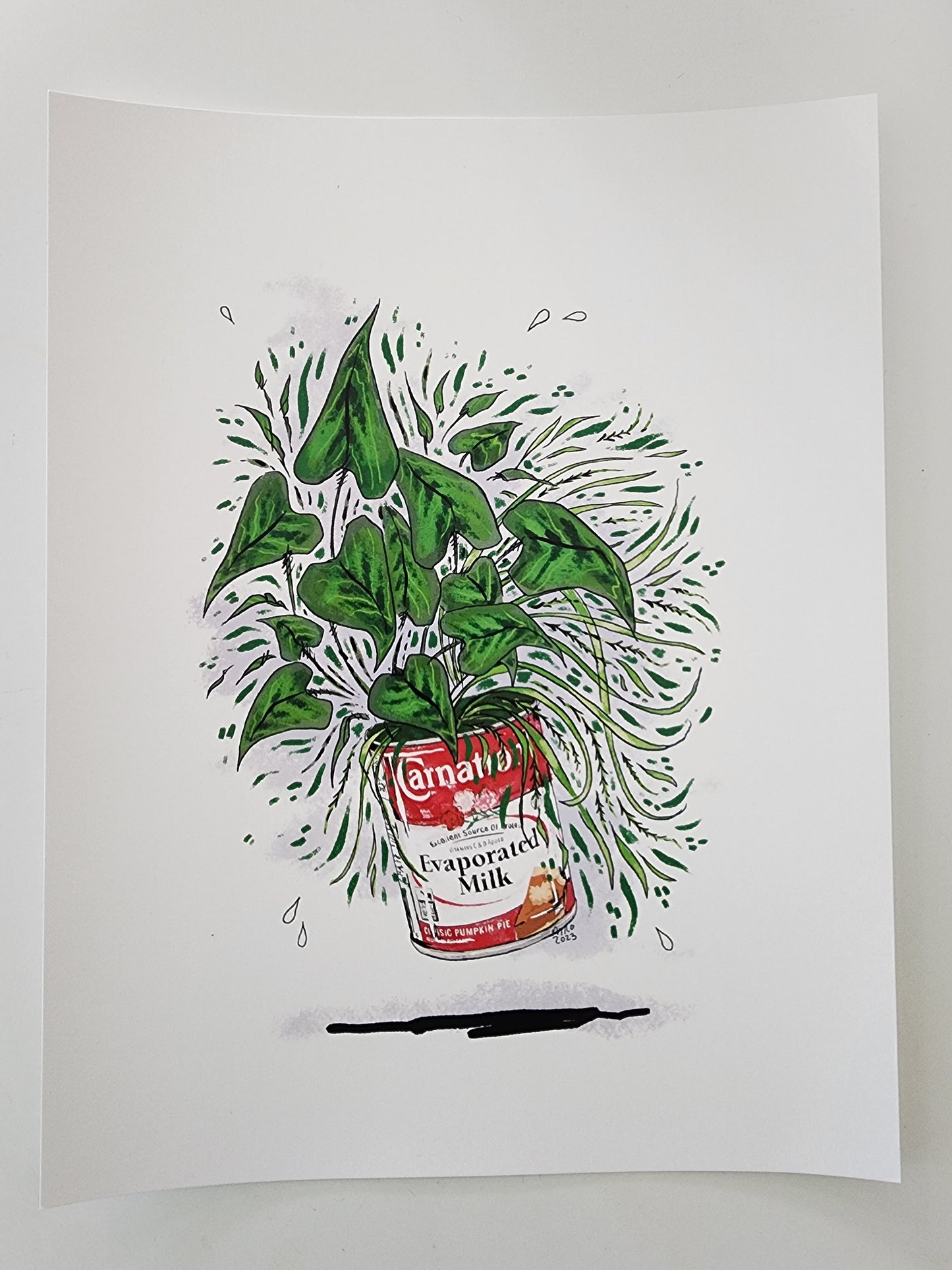 Original Art Print - Carnation Plants