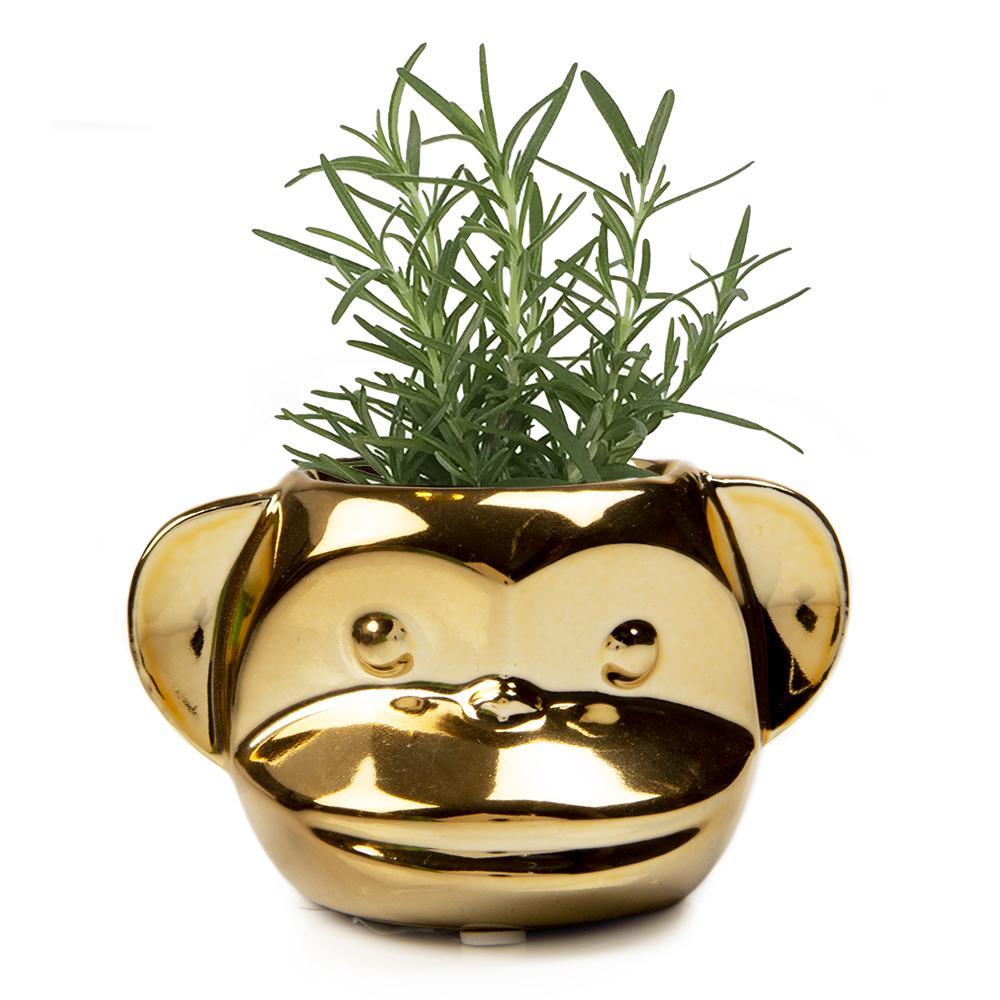 Funky Monkey Planter - 3.5"