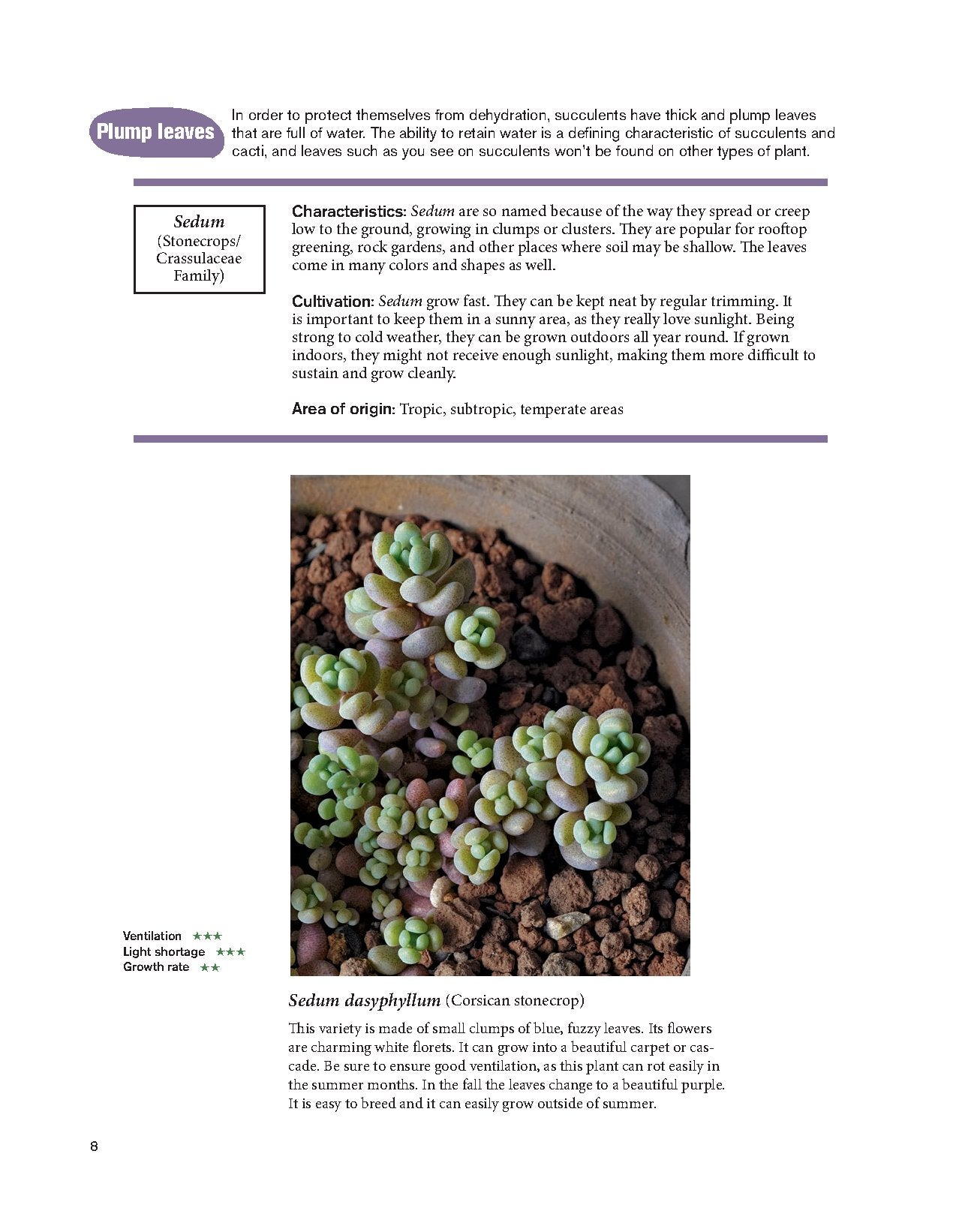 The Gardener's Guide to Succulents - Misa Matsuyama