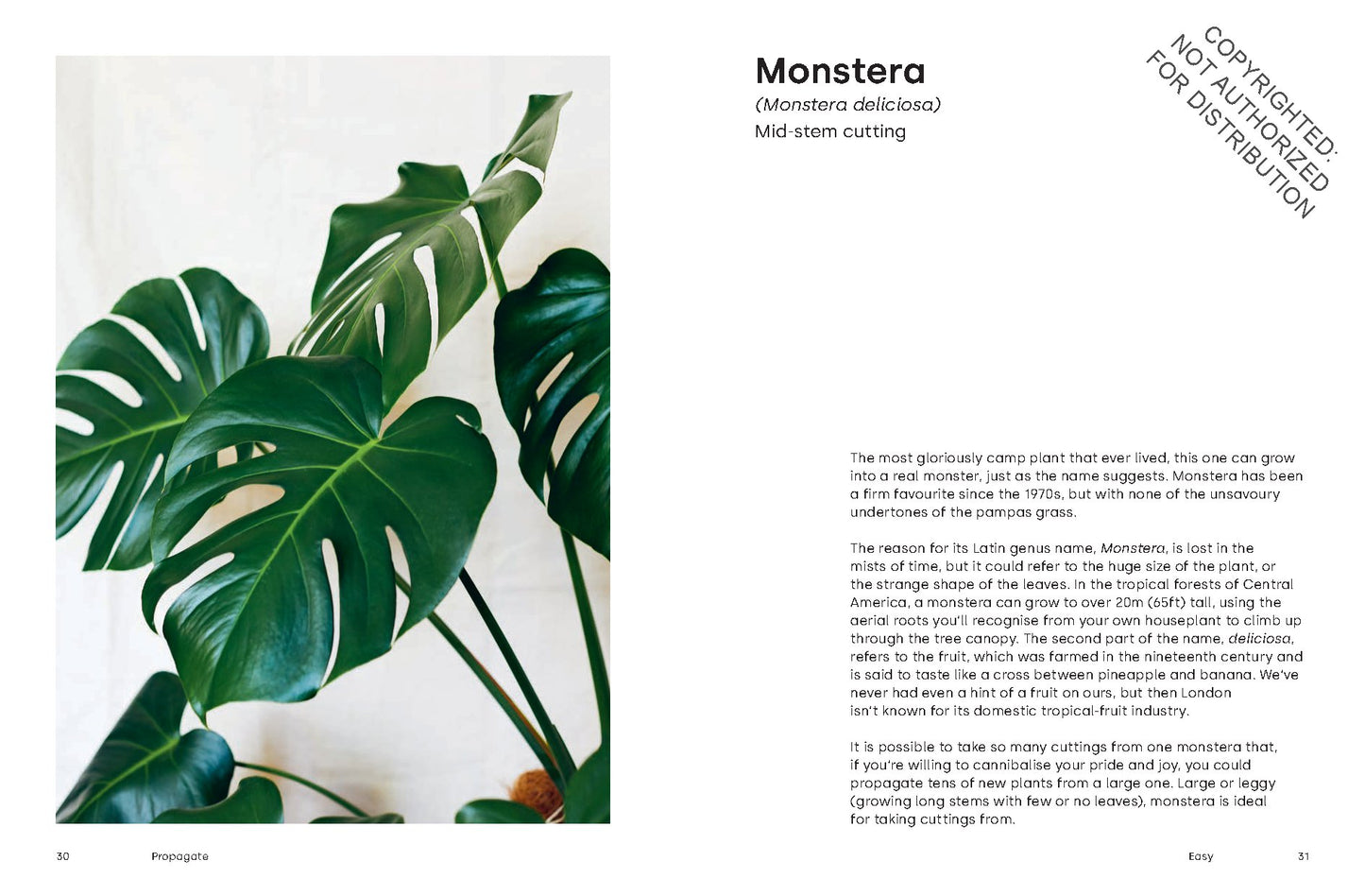 Propagate - How to Regrow Your Houseplants - Book