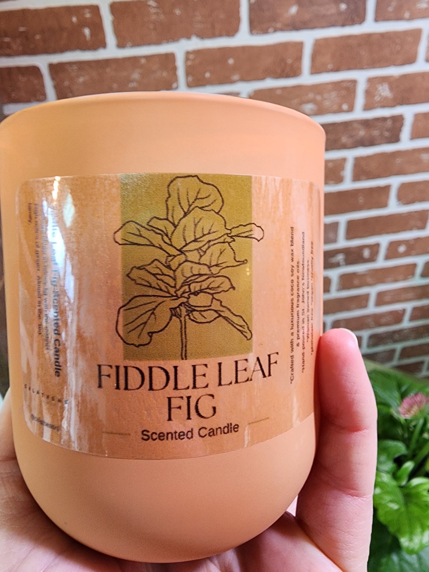Fiddle Leaf Fig Scented Candle