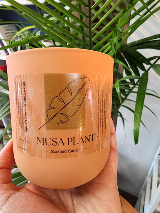 Musa Plant Scented Candle