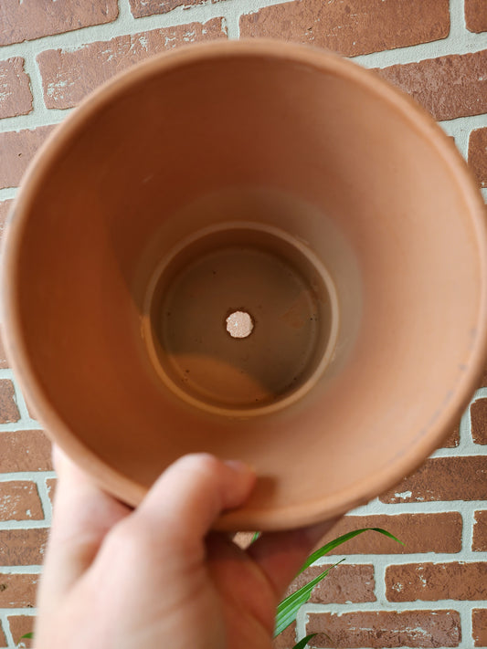 Clay Pot 15cm/6" Bleached