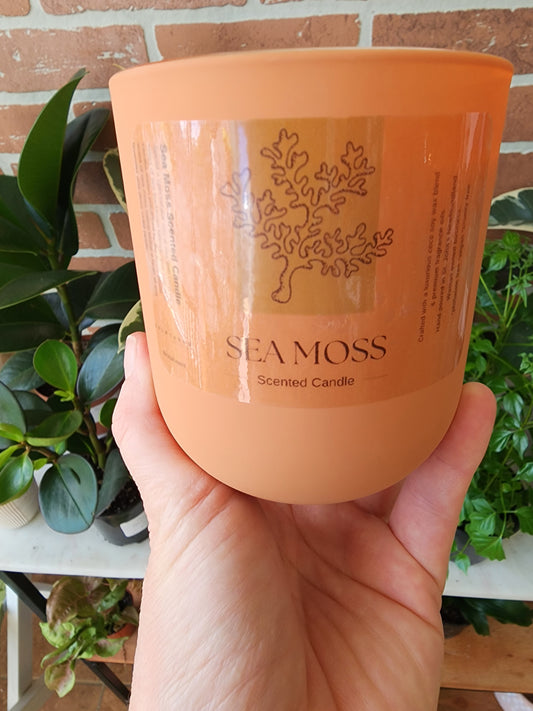 Sea Moss Scented Candle