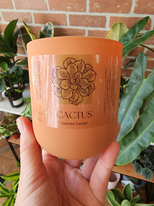 Cactus Scented Candle
