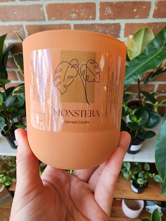 Monstera Scented Candle