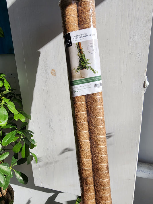 Coconut Stake 80cm/31.5" Stackable 2pk