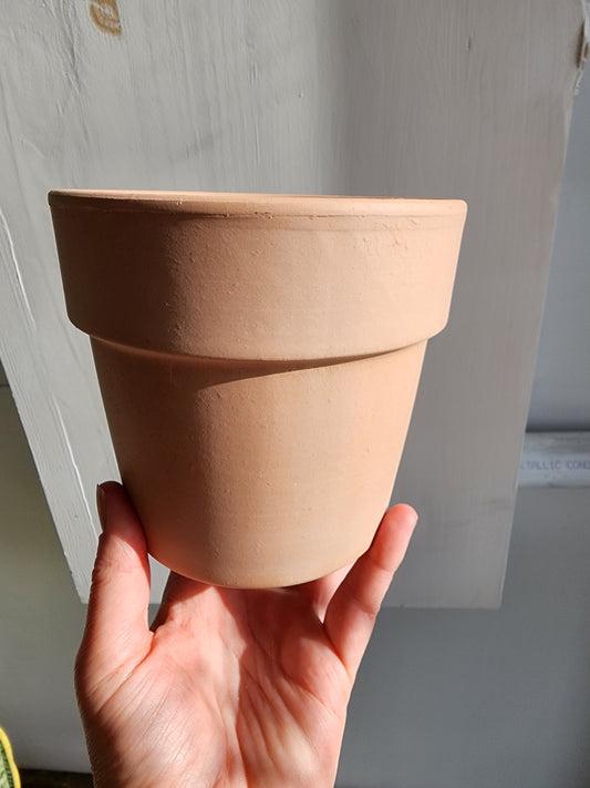 Clay Perfetto Pot Cover Bleached - 13cm/5in