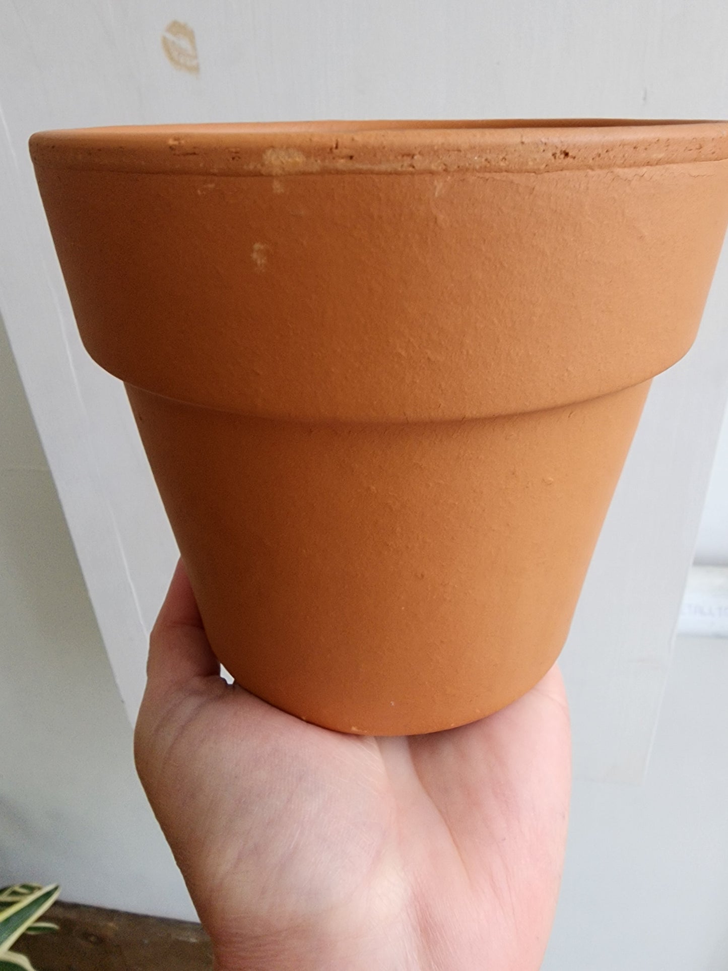 Terracotta Clay Perfetto Pot Cover  - 15cm/6in