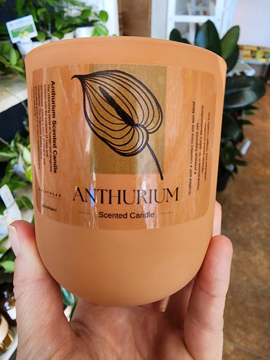 Anthurium Scented Candle