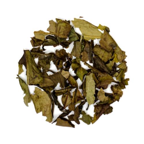 Ocean Bright White Tea - Loose Leaf Tea - 50g