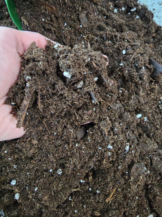 The Dirt! Houseplant Soil - 2L