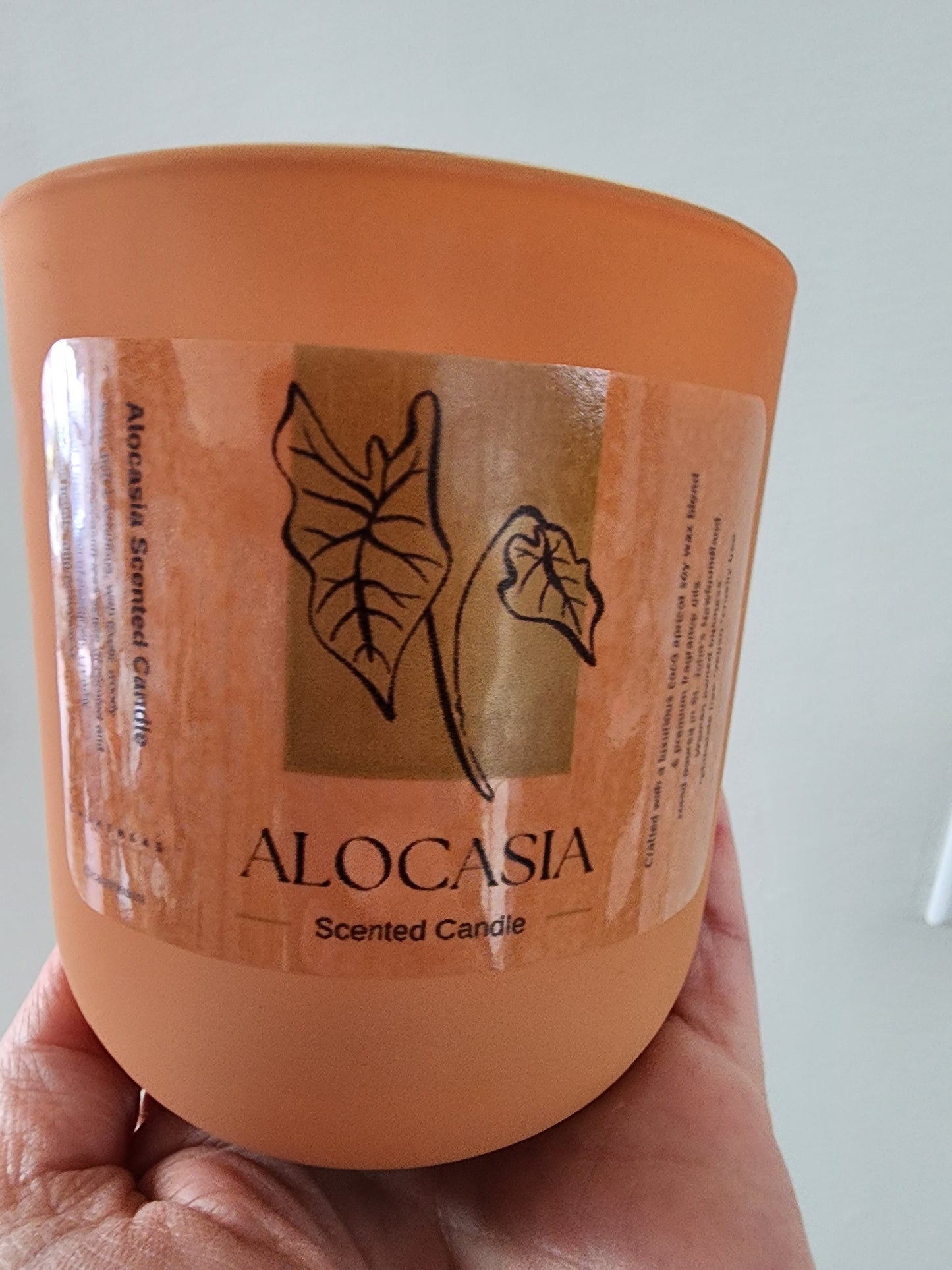 Alocasia Scented Candle