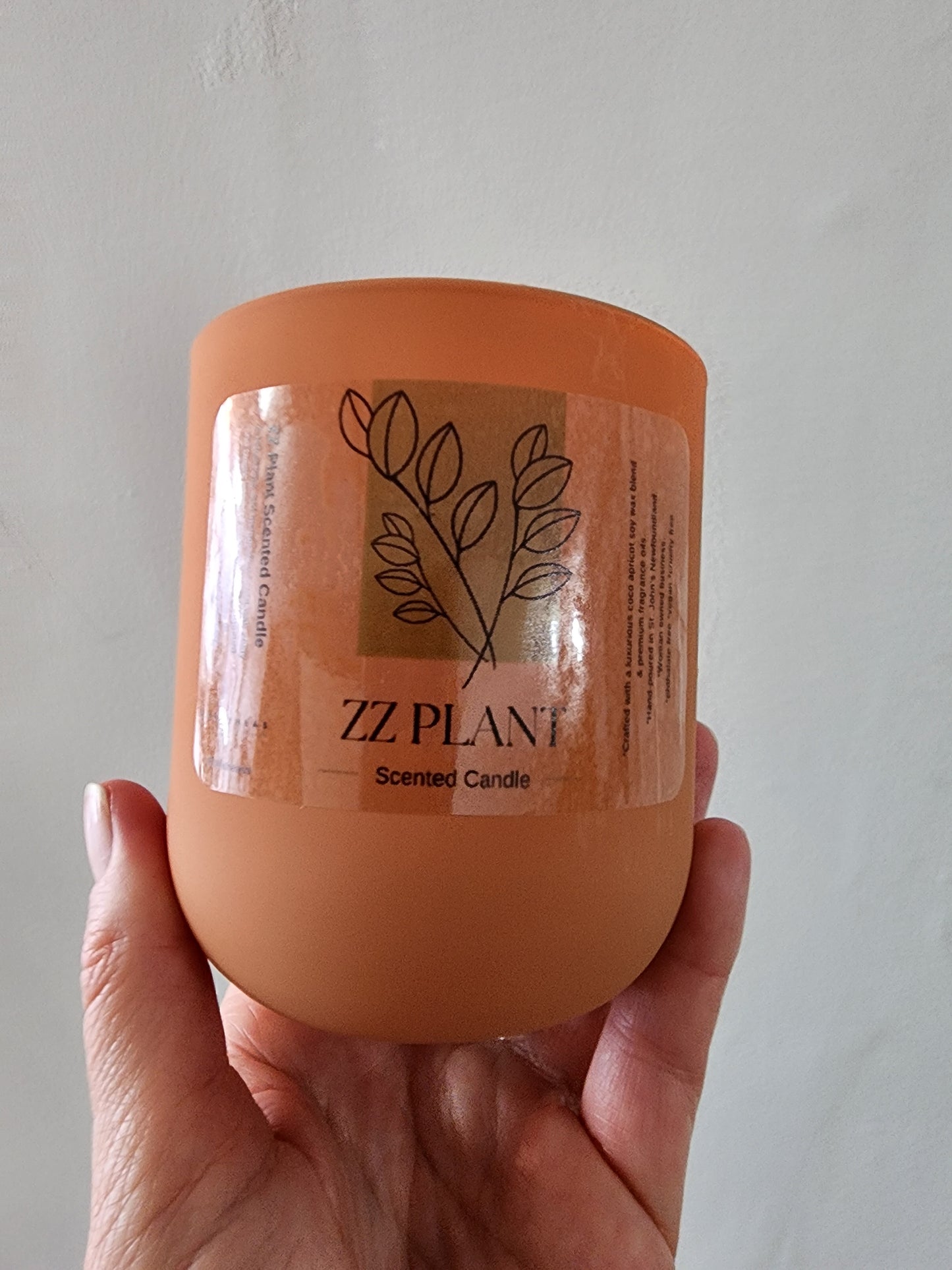 ZZ Plant Scented Candle