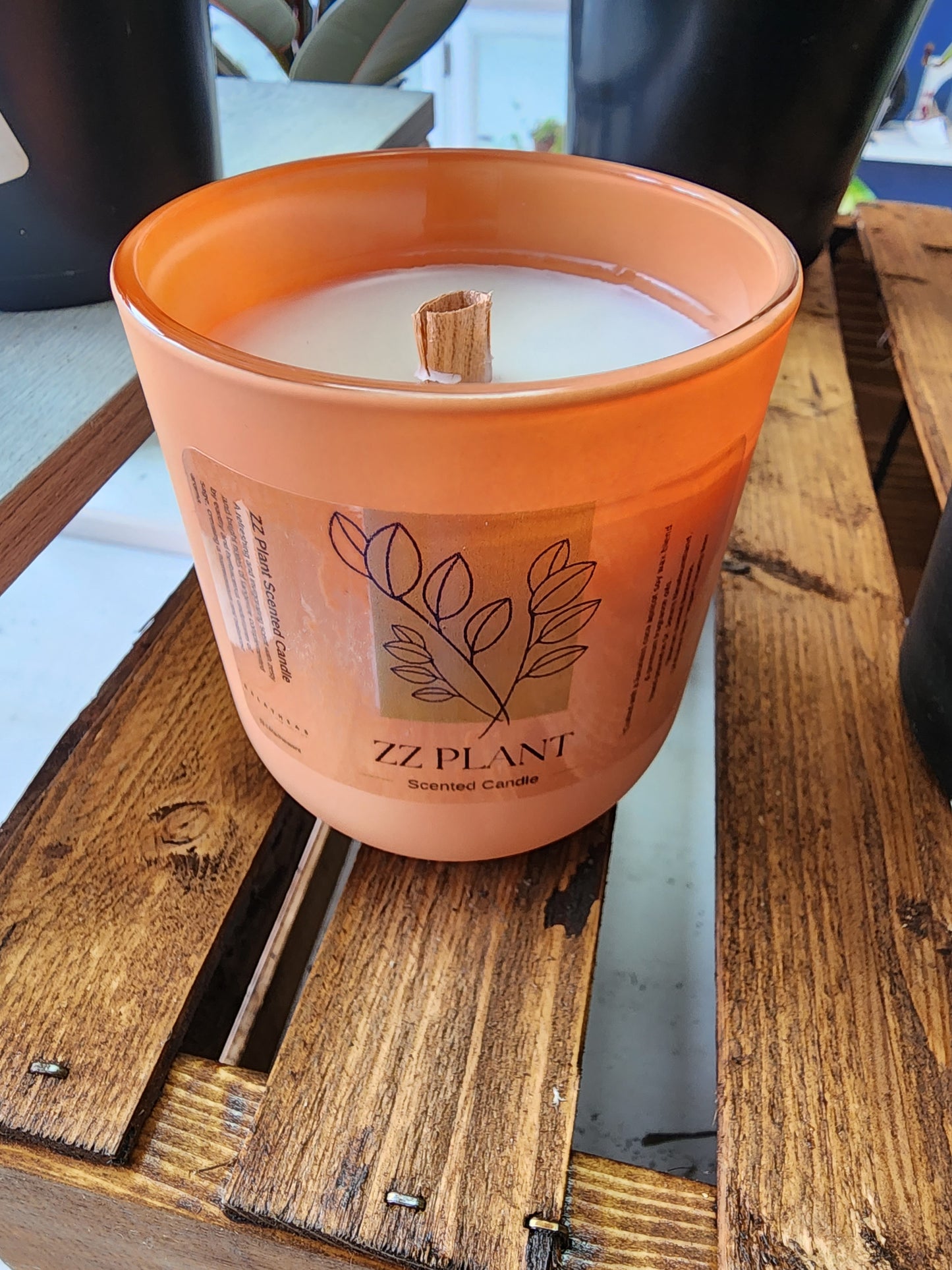 ZZ Plant Scented Candle